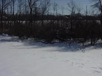 2nd image of 580 Burnside Dr
