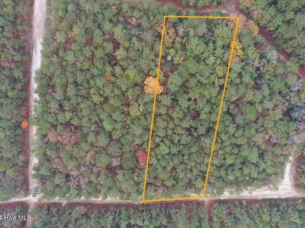 339 Indian Pipe Lane, Vass, NC 28394