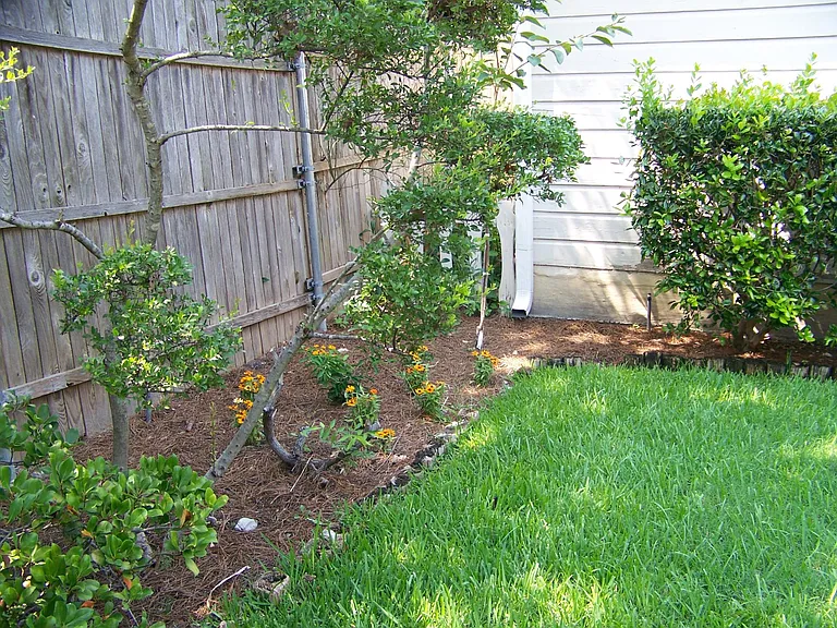 8925 Stanwood Dr — Photo 32