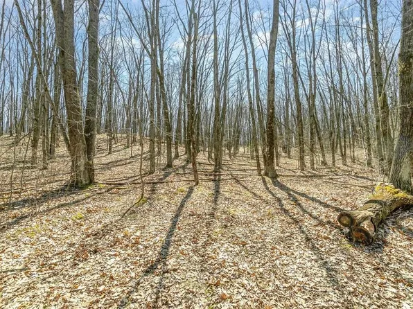 10 Nancy Ann Rd, Gladwin, MI 48624