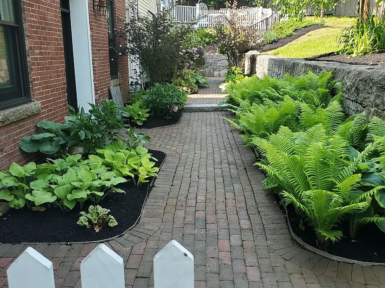 2B Brattle St #2B — Photo 16