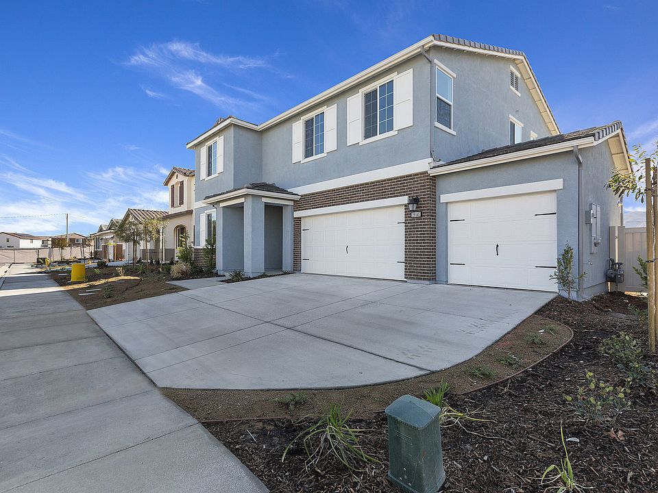 1st image of 29145 Tanoak