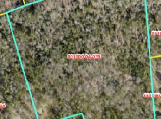 0 Walt Rauch Rd, Chapin, SC 29036