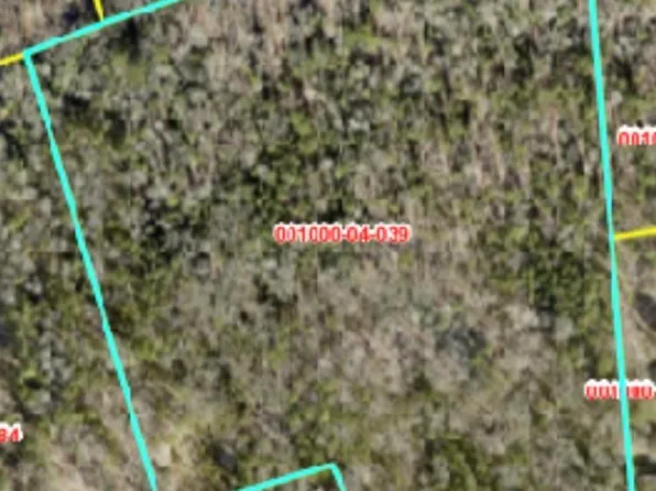 0 Walt Rauch Rd, Chapin, SC 29036