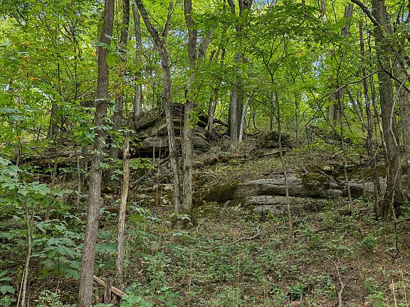 5th image of 2100 Hawkins Branch Rd Lot 2