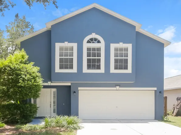 30200 Double Dr, Wesley Chapel, FL 33545