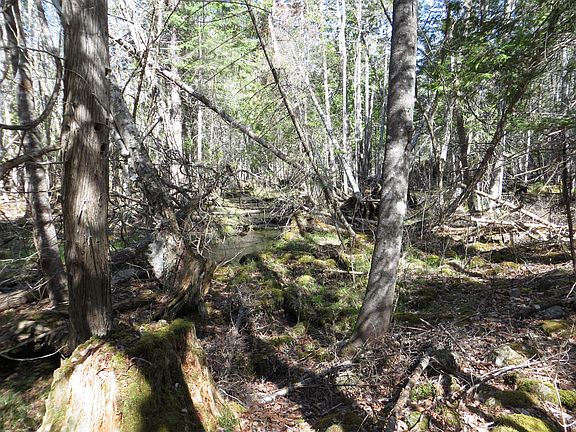 3rd image of TBD Fitz Road #001-018