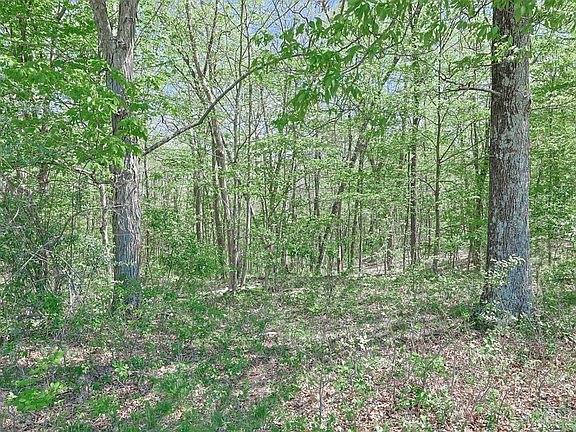5th image of 0 Carr Rd
