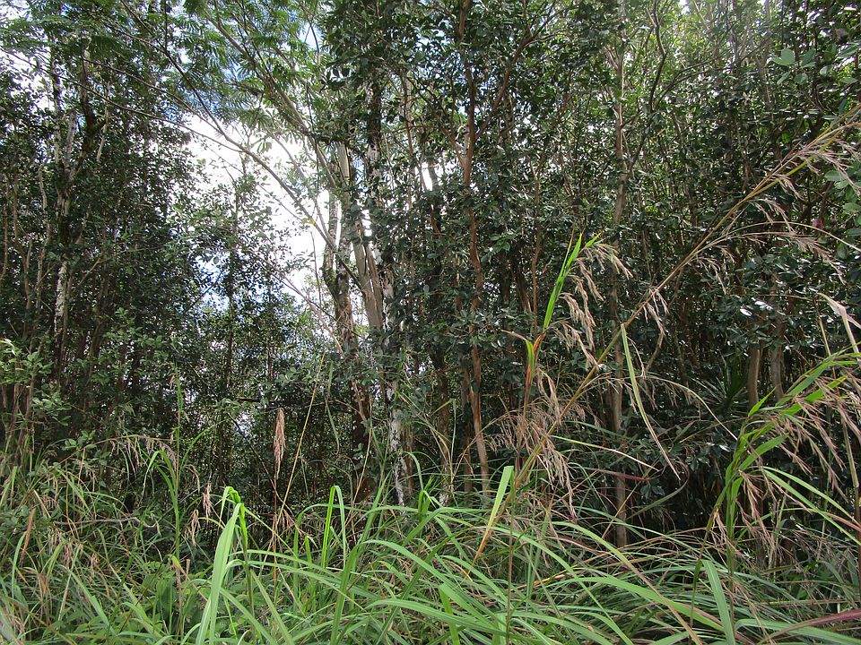 1st image of Aulii St Lot 2