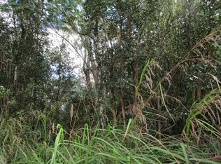 Aulii St LOT 2, Kurtistown, HI 96760