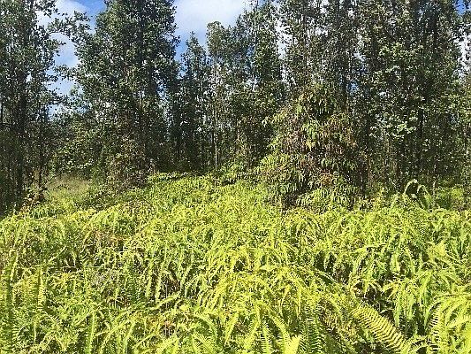 5th image of Road 9 Koloa Maoli Lot 5454