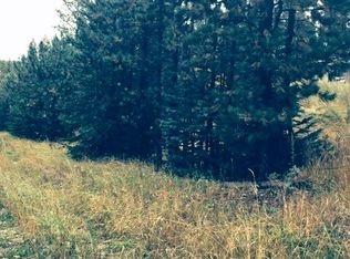 21360 Sleighride Loop, Lead, SD 57754