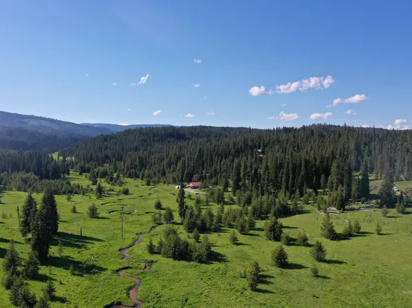 281 Upper Maxwell Ln, Elk City, ID 83525