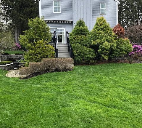 west side view & deck