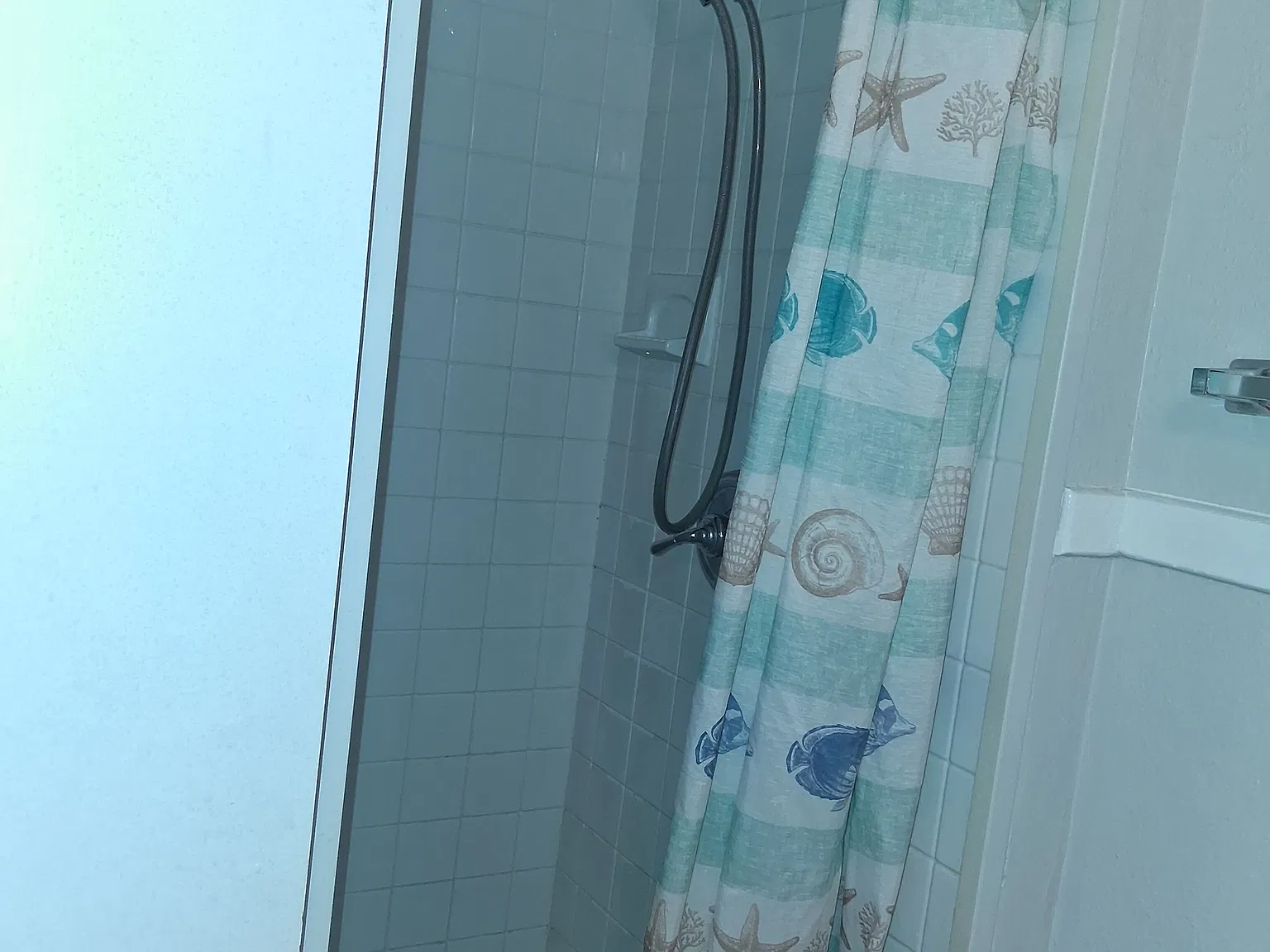 1 bed, 600 sqft, $1,200 — Photo 1