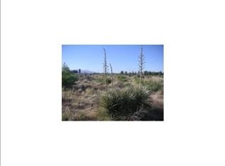 2595 Nike Air Rd, Chaparral, NM 88081