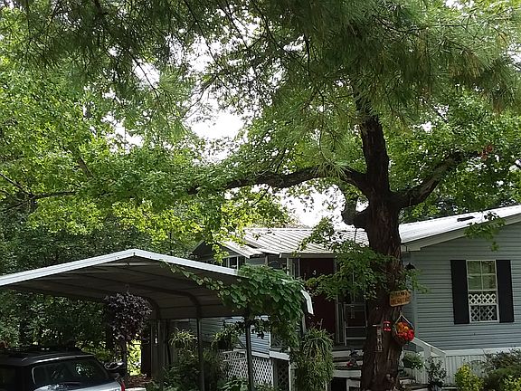 2nd image of 48 Dogwood Path Ln