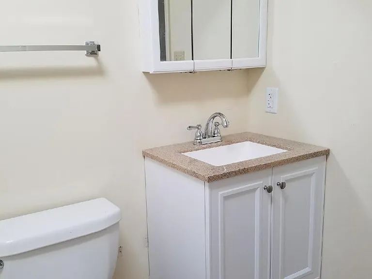 Toilet and Vanity