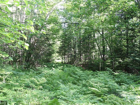 3rd image of Sawmill Rd