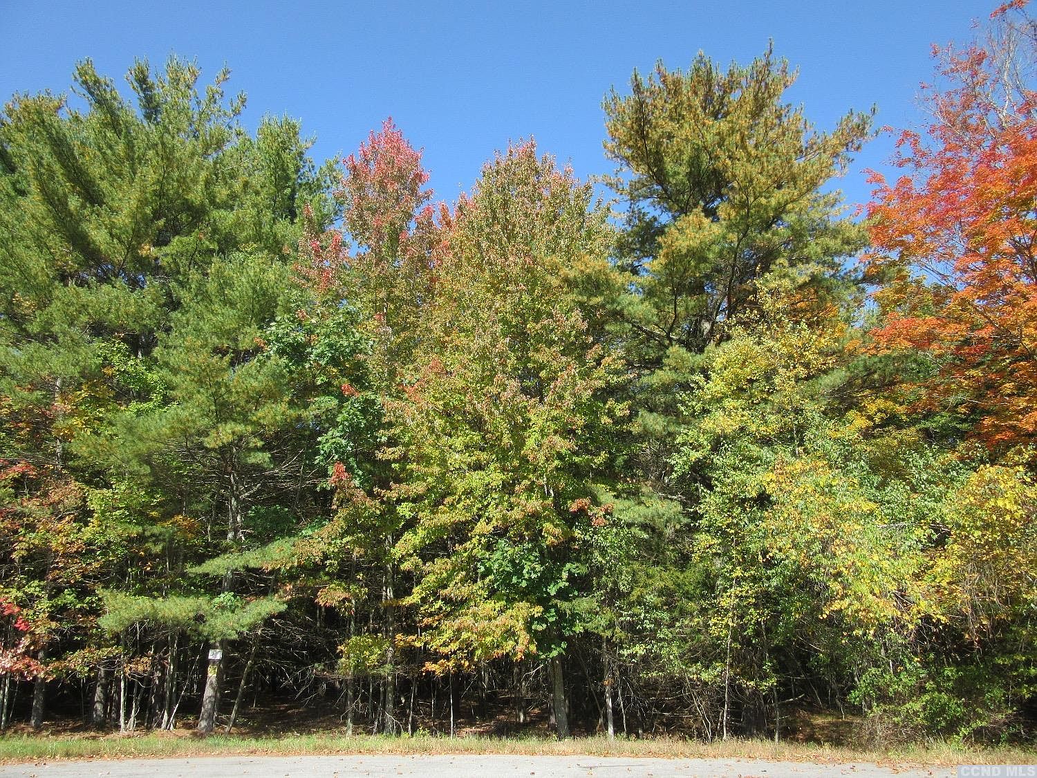 4 Grand Rd, East Durham, NY 12423 MLS 144047 Zillow