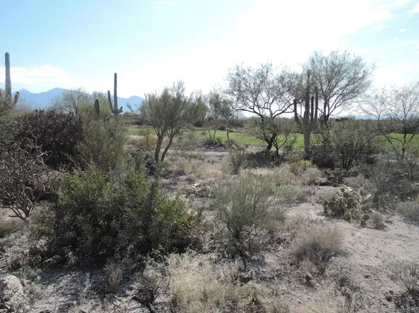 1586 W Rock Range Pl, Oro Valley, AZ 85755
