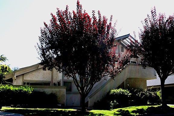 Wildwood Condo Penthouse Unit