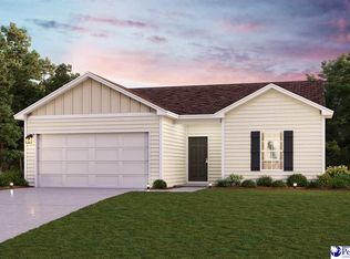 1995 E Paces Trl, Darlington, SC 29532