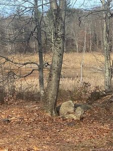 0 Hageman Shean Rd, Goshen, CT, 06756