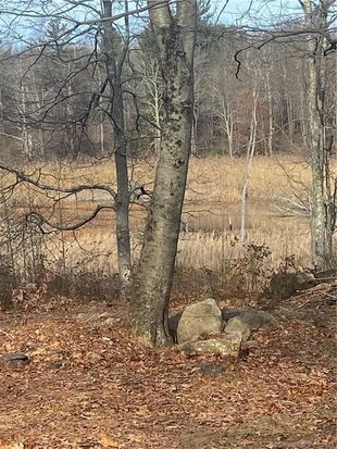 0 Hageman Shean Road, Goshen, CT 06756