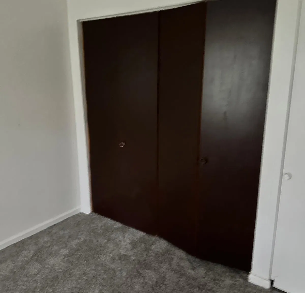 2 bed, 1000 sqft, $1,345 — Photo 3