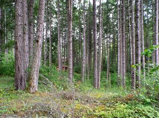 18435 Blue Hills Loop SE, Yelm, WA 98597
