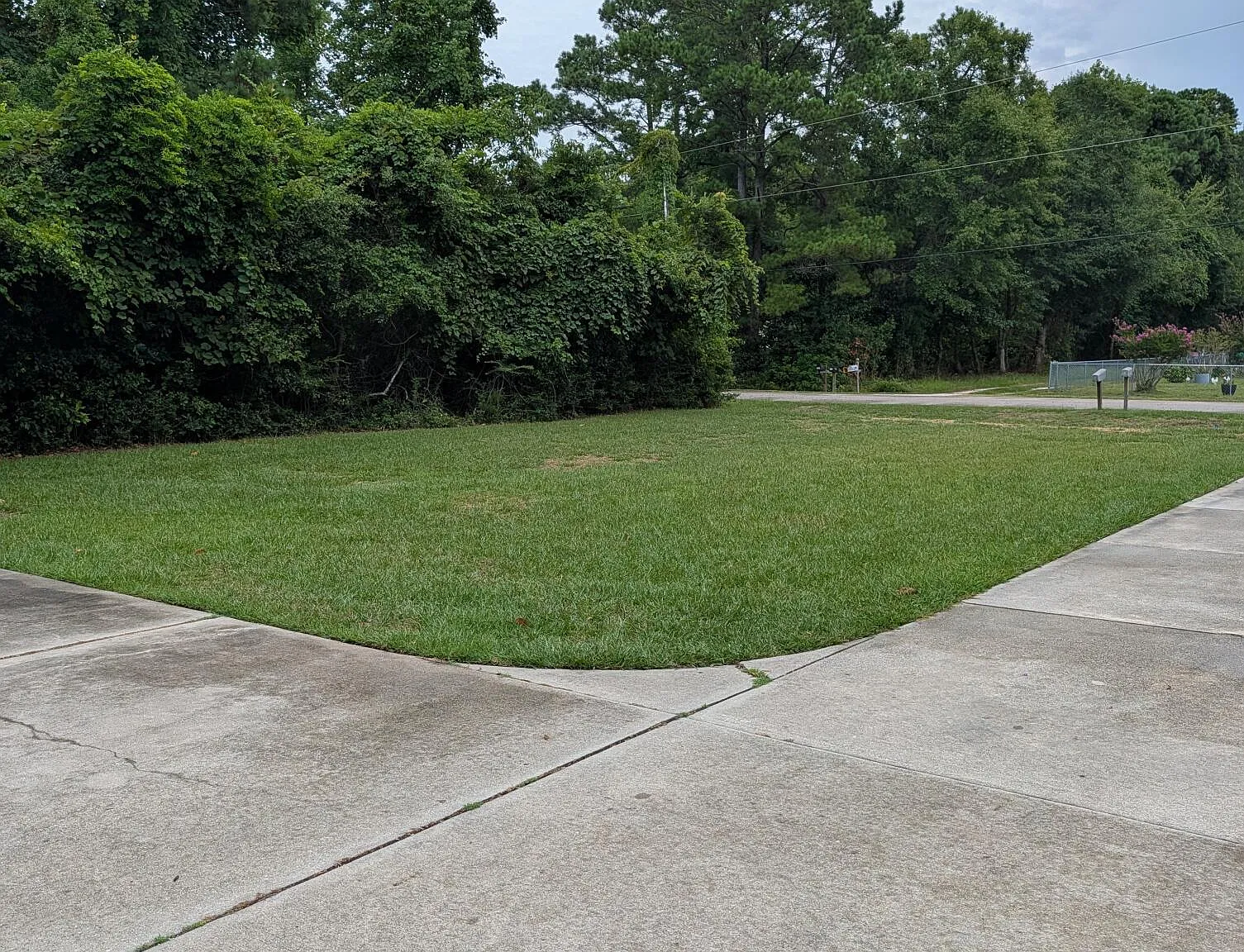 2 bed, 2.0 bath, $1,450 — Photo 3