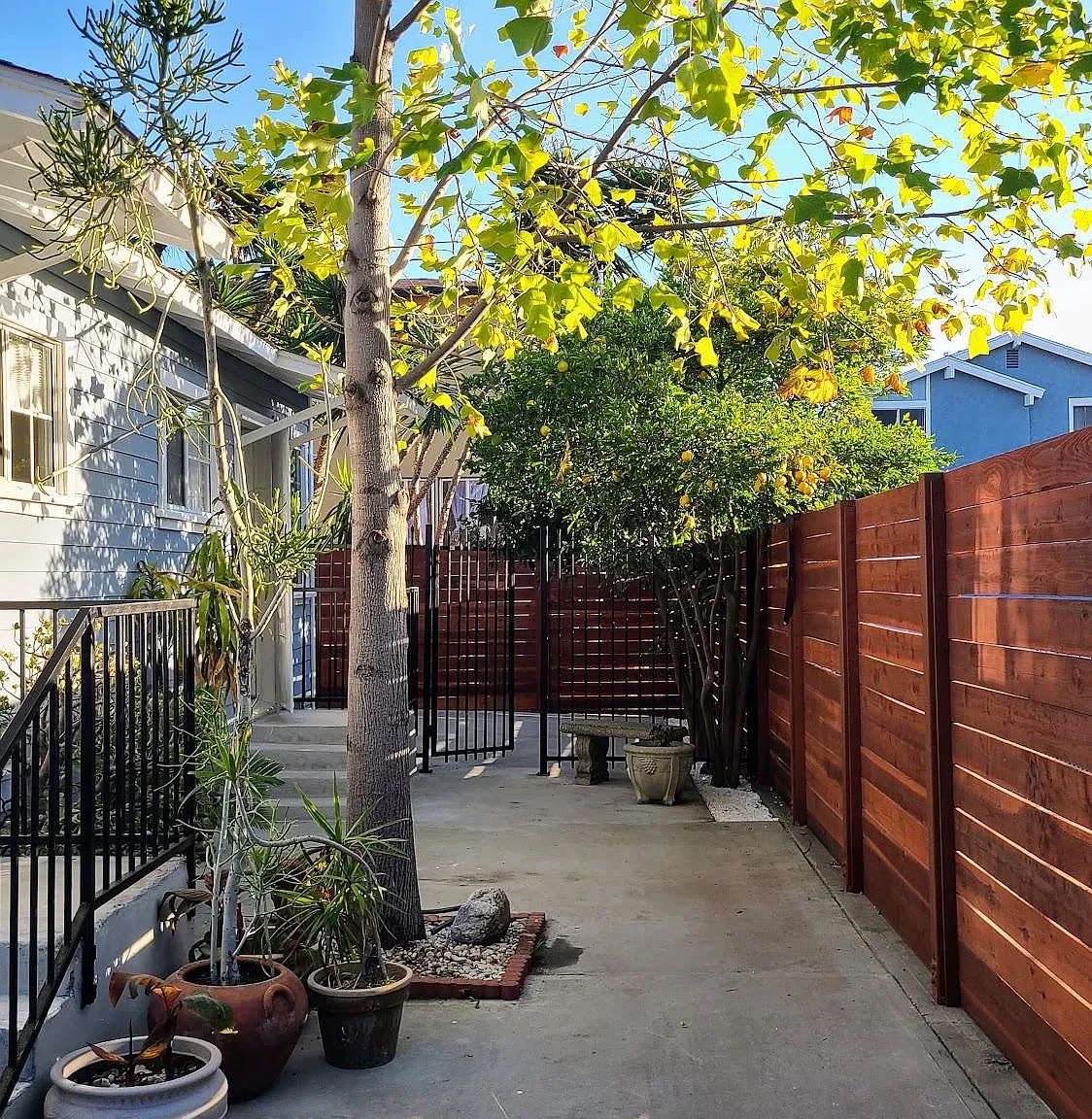 2 bed, 900 sqft, $3,400 — Photo 4