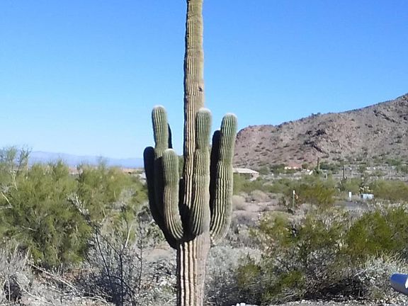 3rd image of 0 Chuckwalla Trl
