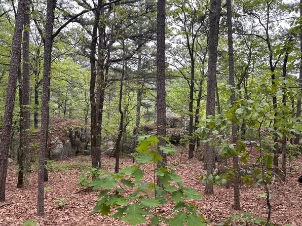300 A Mountain Rd, Moyers, OK 74557