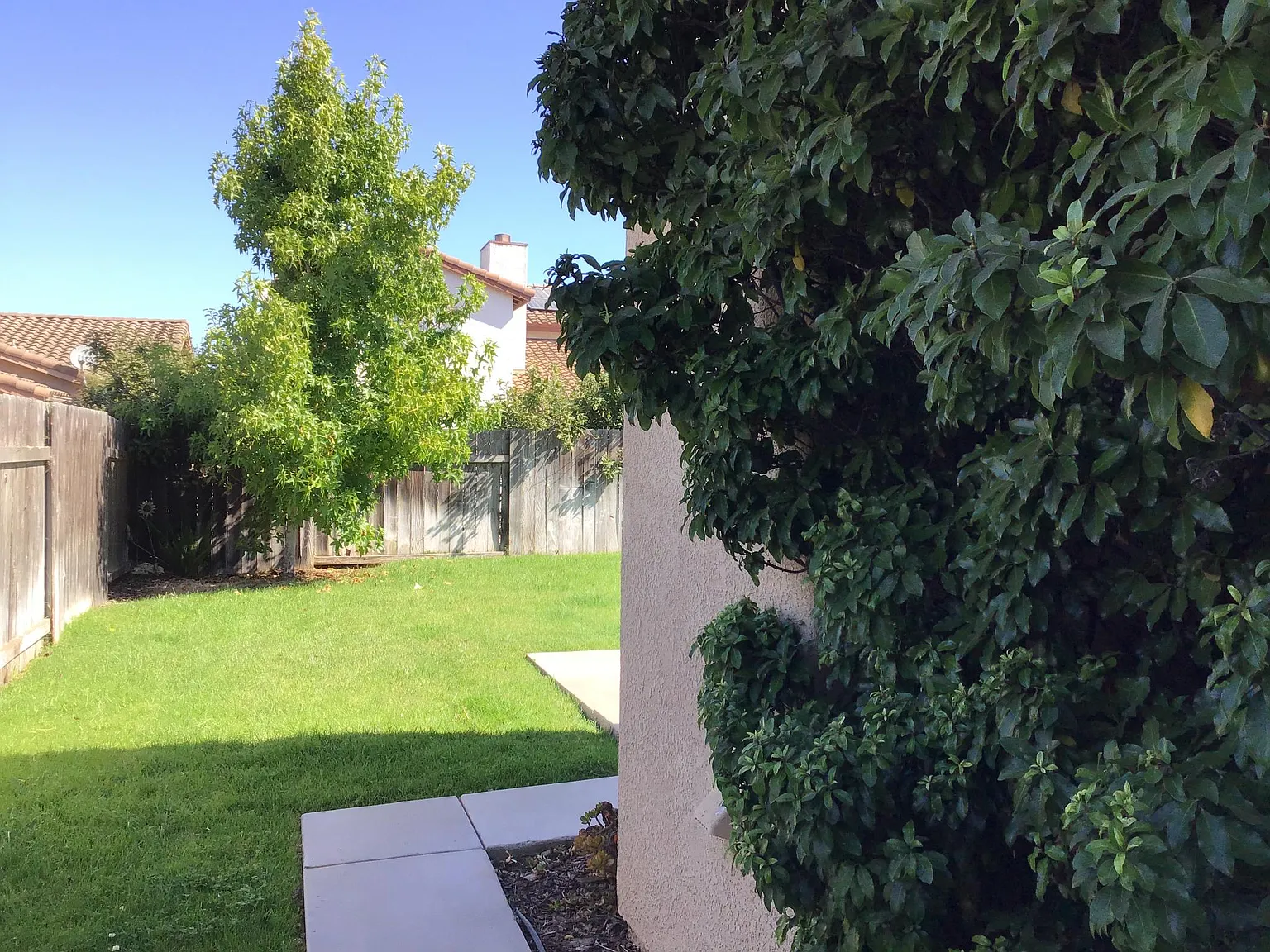 4 bed, 2.5 bath, 2125 sqft, $3,900 — Photo 3