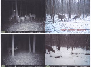 00 Riley Rd. Vacant Land, Deford, MI 48729