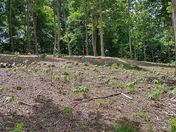 4th image of 2 Mason Rd Tract 2G