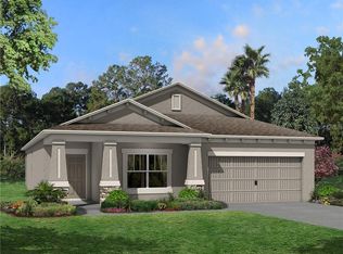 30451 Caravelle Ln, Wesley Chapel, FL 33545