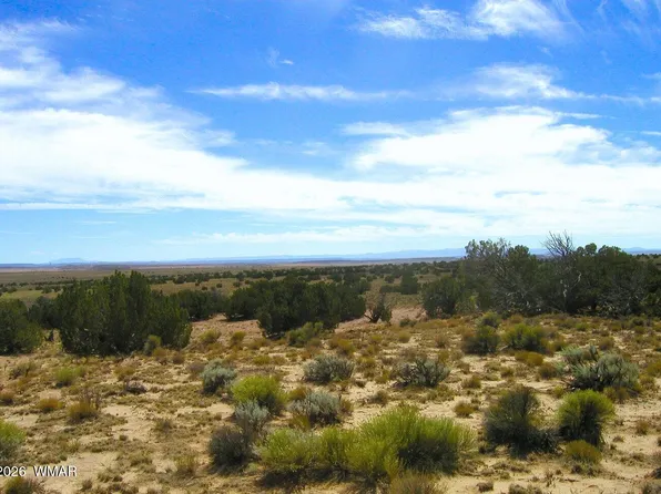 372 County Road 7150 N, Saint Johns, AZ 85936