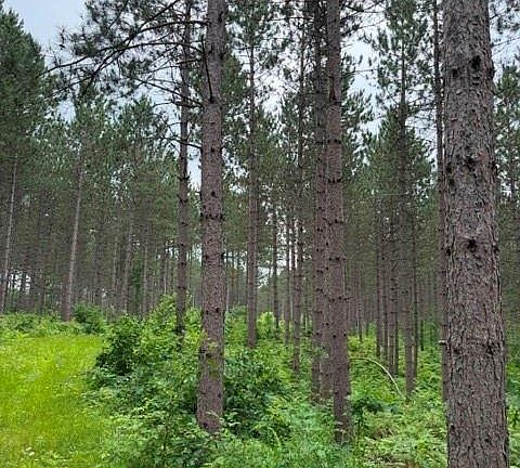 4th image of 20 Acres S 5th Avenue