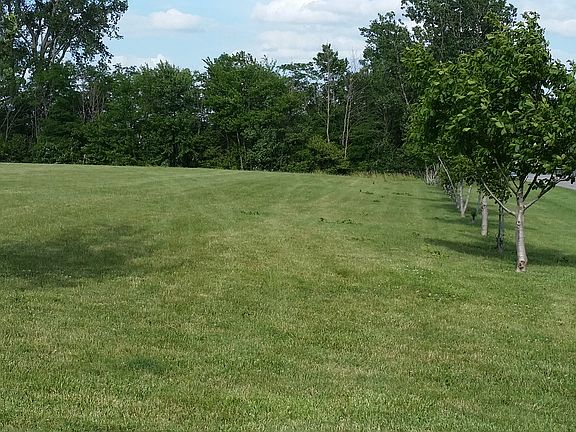 Front yard 