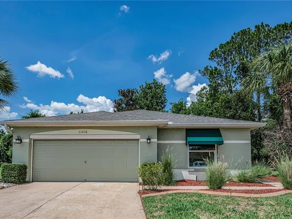 11116 Jenkins Ct, San Antonio, FL 33576