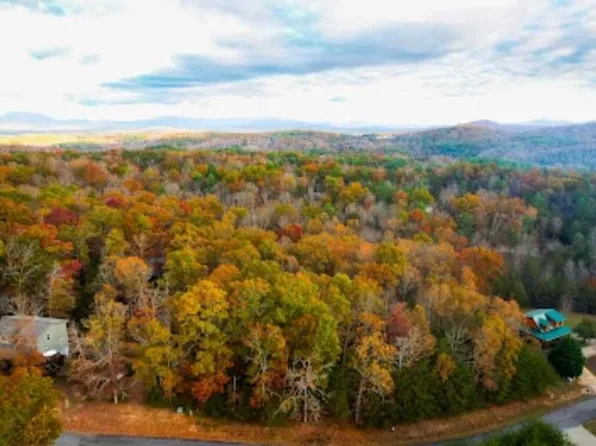 0 Harbin Ct #9, Morganton, GA 30560