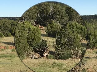 Red Ranch Rd LOT 62, Saint Johns, AZ 85936