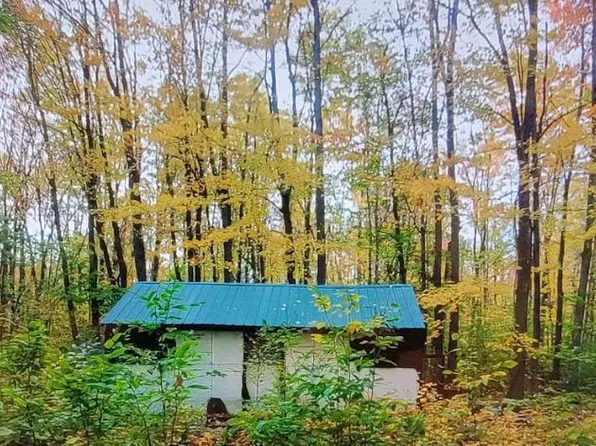 20455 Oakwood Rd, Newberry, MI 49868