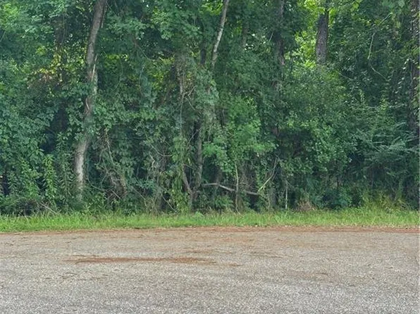 0 Shady Ln, Tickfaw, LA 70466
