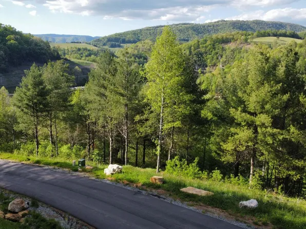 LOT 20 Cowan Town Rd, Butler, TN 37640