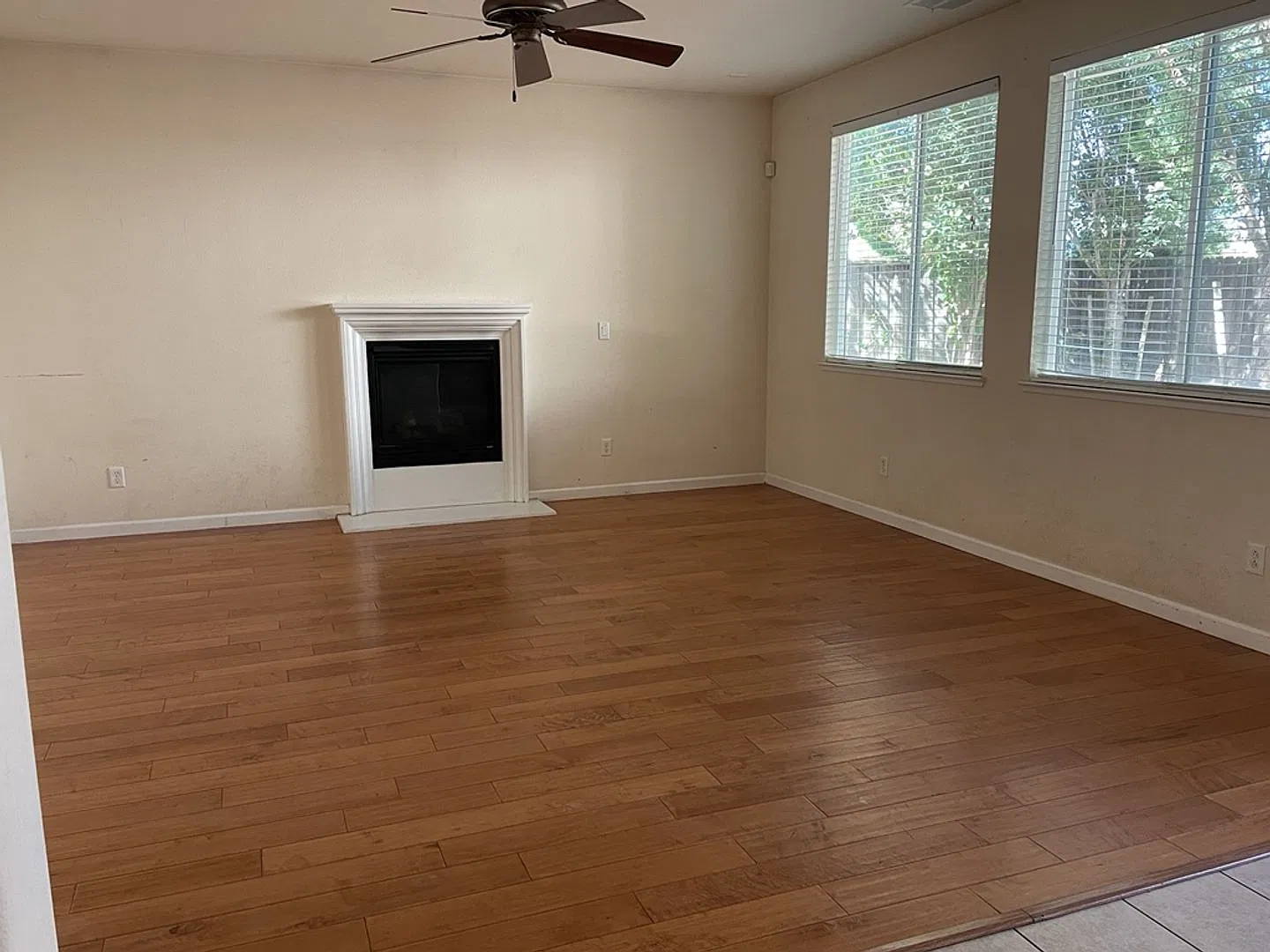 Beautiful 4 Bedroom 3 Bath Home in Desirable Woodland Neighborhood — Photo 4