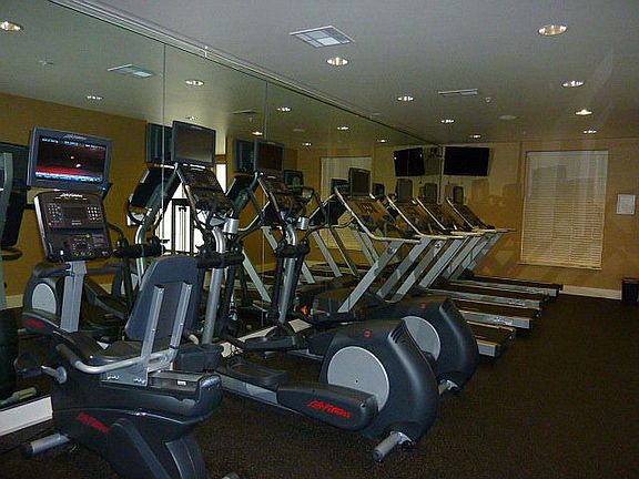 Professional grade fitness